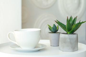 Close-up of a white cup and two concrete pots with succulents on a blurred background of a decorative wall, selective focus