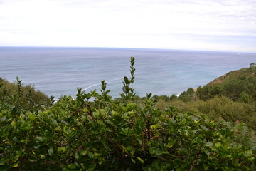 San Sebastian, October: View from Tximistarri to evergreen vegetation and Bay of Biscay