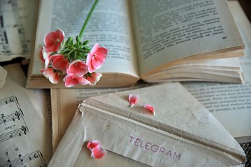 telegram i książka - obrazy, fototapety, plakaty