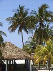Cayo Largo del Sur, Touristenressort, Kuba