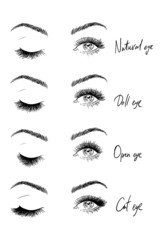 Illustrations of different eyelashes