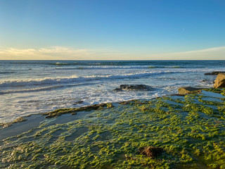 La Jolla shores and beach before sunset twilight in La Jolla San Diego, Southern California Coast. USA. Blue waters of the Pacific Ocean Coastline 