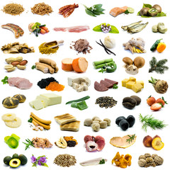 Different types in collage isolated on white background