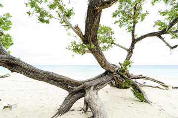Kuba, Playa Guardalavaca, Holguin, Guardalavaca
