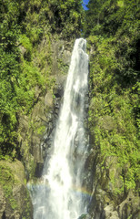 Fototapeta na wymiar Wasserfall, Dominica, Trafalgar Falls