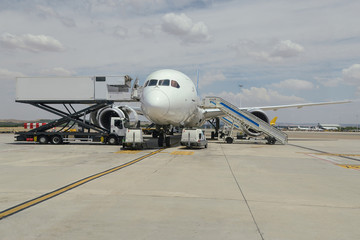 Fototapeta na wymiar A passenger plane being serviced before takeoff