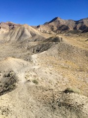 Mountain Bike trails in Fruita, CO