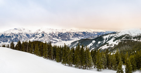 Fototapeta na wymiar Winter panorama: Snow, fir tree forest and mountain range with Kitzsteinhorn, Austrian Alps