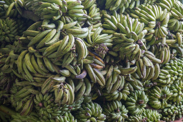 Masses of Bananas in the market hall in Manaus, Brazil, South America