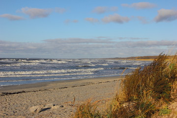 Autumn sea landscape with a coastal strip of yellowed grass