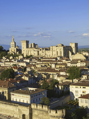 Papstpalast, Stadtansicht Avignon, Provence, Frankreich, Avignon