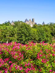 Obraz premium Mittelalterliche Festungsstadt Carcassonne, Frankreich, Languedo