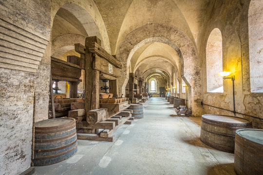 old vinery in Eberbach