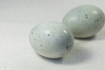 preserved egg