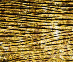 black and  gold  grunge  texture for background