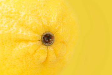 Lemon close-up