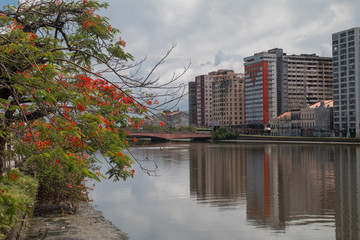 Buildings and city view of Recife, Brazil, South America