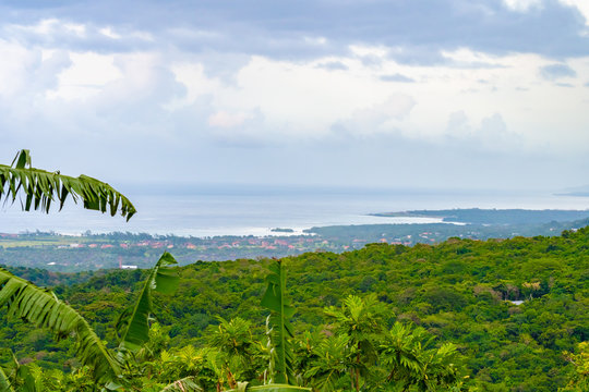Coastline in Saint Ann parish, Jamaica, a Caribbean island. Beautiful scenic aerial landscape setting. Banana tree leaves hang in the foreground. Ocean water meets land under cloudy summer sky day.