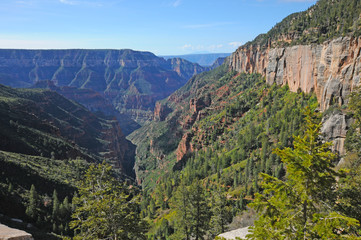 north rim of the Grand Canyon