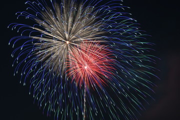 fireworks in the sky