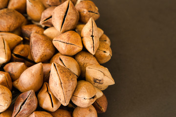 Ayoyotes Con Hueso De Fraile, pre-Hispanic dance instrument in Mexico
