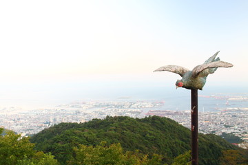 六甲山からの眺望