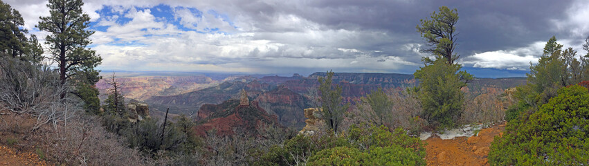 Panorama of the north rim of the grand canyon