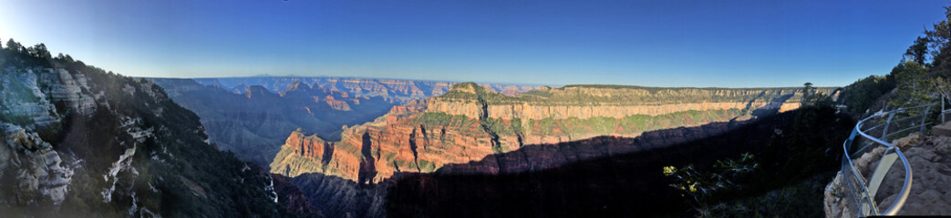 Panorama of the north rim of the grand canyon