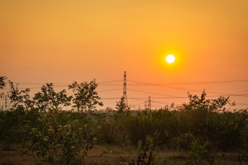 Fototapeta premium sunset over field