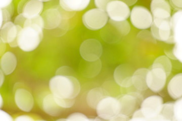 Abstract green blur background on natural park. Light and plant with beautiful bokeh. Sunshine day. Freshy. Copy space.