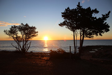 Fototapeta na wymiar Sunrise at the cliffs with trees with a clear sky