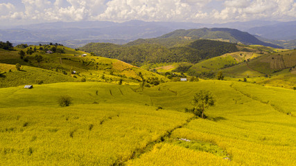 Obraz premium Rice terrace fields or Ladder rice field in aerial view at Pabongpeang , Maejam Village , Chaingmai Province of Thailand