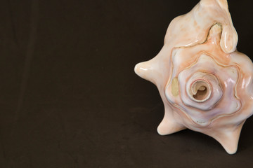 Prehispanic instrument of Mexico, Caracol Azteca