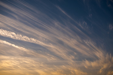 Obraz premium Clouds wave with sun light orange and blue sky in the evening ,Twilight sky background.
