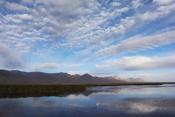 Dachaidan Emerald Salt Lake in Qinghai Province, China