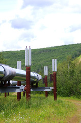 Pipeline