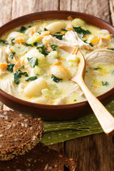 Italian soup with gnocchi, chicken, spinach and vegetables close-up in a bowl. vertical
