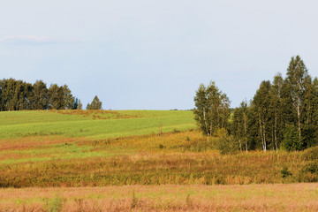 Beautiful rural landscape on a sunny summer day. Natural background retro style toned