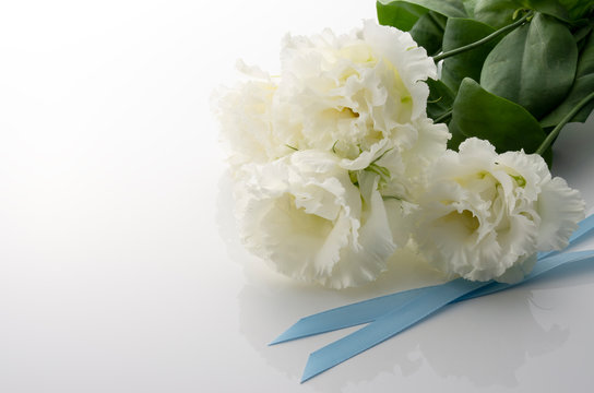 546 件の最適な トルコ桔梗 画像 ストック写真 ベクター Adobe Stock