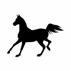 Fototapeta na wymiar Horses black silhouette. Equine vector illustration.