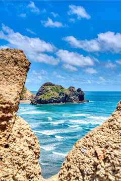 Piha New Zealand