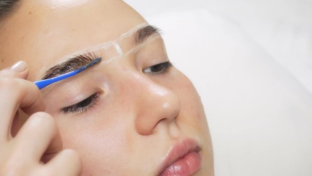 A professional does dyeing eyebrows with dyes, tinting, cosmetic procedures in a beauty salon. Paint is applied to the hairs with a thin brush.