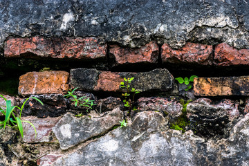 Brick forming together into a bundle.