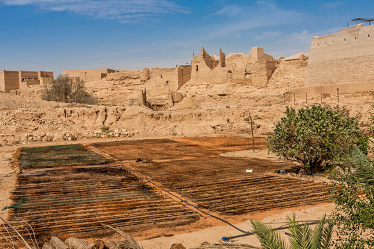 An organic farm near historical Ad-Diriyah, Riyadh