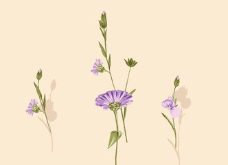 Obraz na płótnie Canvas Flower, suitable for wallpaper design