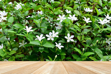 Empty top wooden table on tropical white flowers blooming in garden