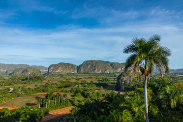 Fototapeta na wymiar Panoramic view over landscape with mogotes in Vinales Valley, Cuba.