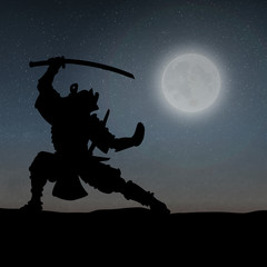 A Samurai Under The Moonlight