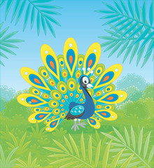 Fototapeta na wymiar Exotic peacock with a large ornate tail walking on green grass against the tropical background of bushes and palm branches on a summer day, vector cartoon illustration
