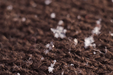 Snow flakes, Snow Crystals, Macro Lens Helios
